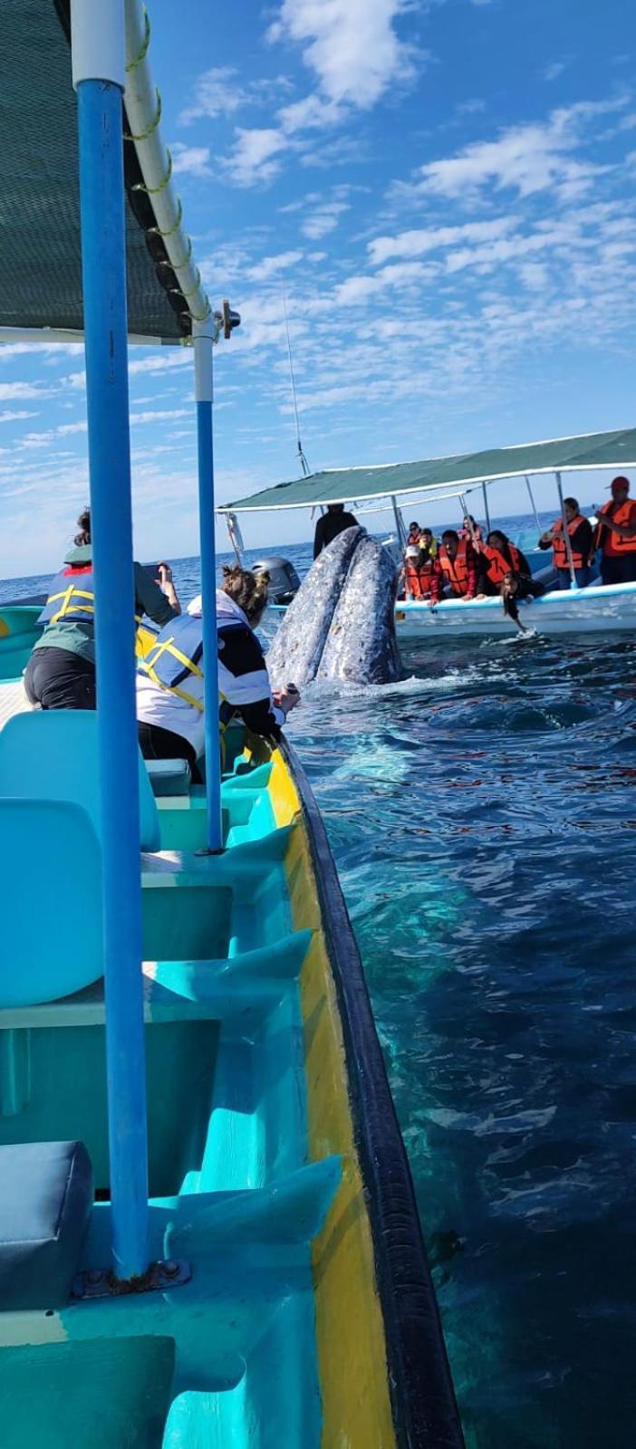 Hotel- Whale Tours And Sport Fishing Vista Mag-Bay Puerto San Carlos エクステリア 写真