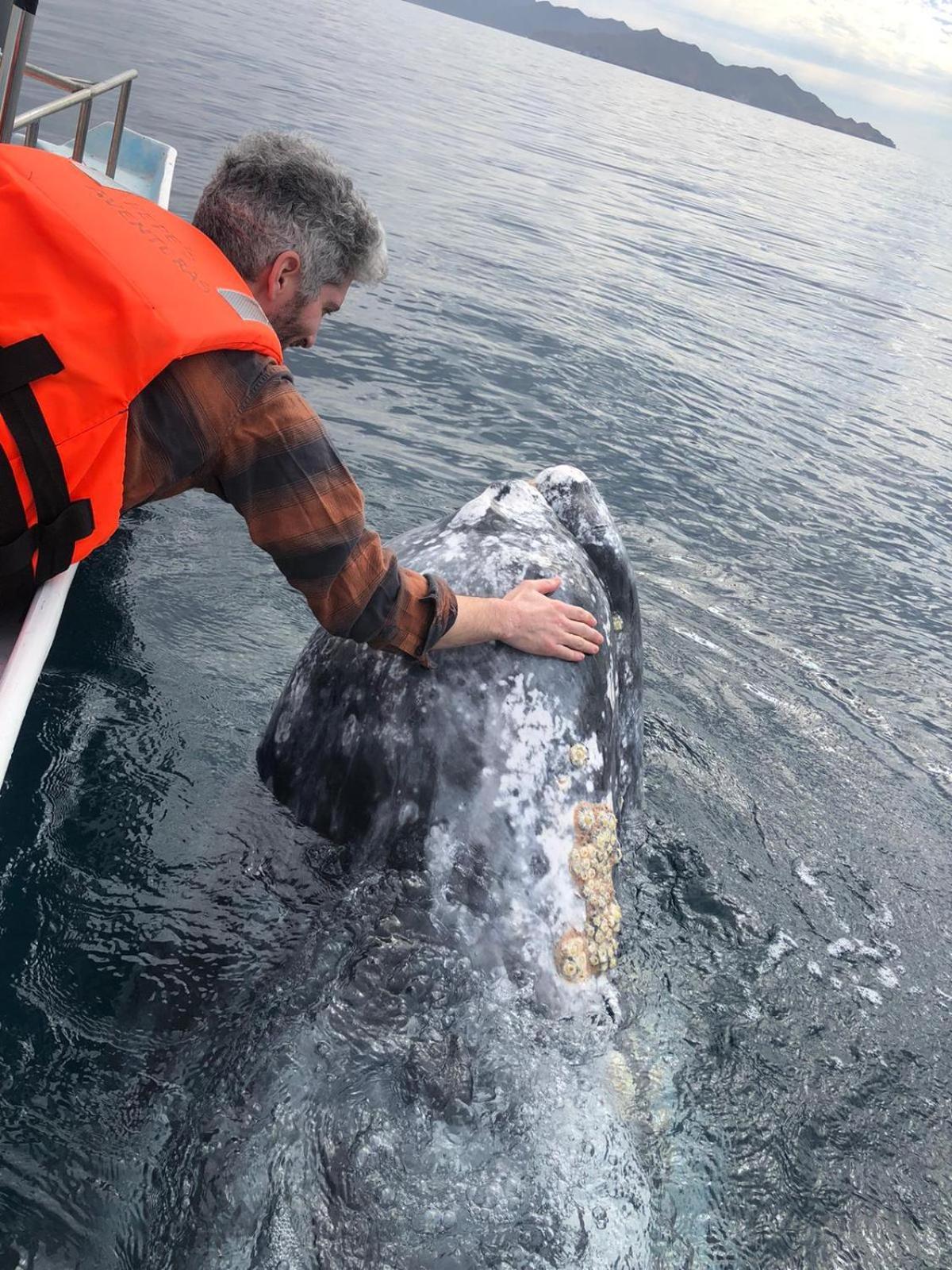 Hotel- Whale Tours And Sport Fishing Vista Mag-Bay Puerto San Carlos エクステリア 写真