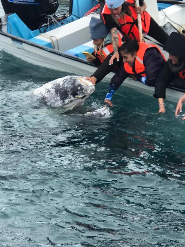 Hotel- Whale Tours And Sport Fishing Vista Mag-Bay Puerto San Carlos エクステリア 写真