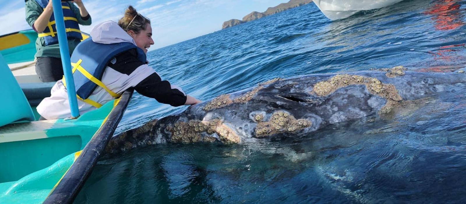 Hotel- Whale Tours And Sport Fishing Vista Mag-Bay Puerto San Carlos 部屋 写真